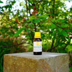 Propolislösung 20ml